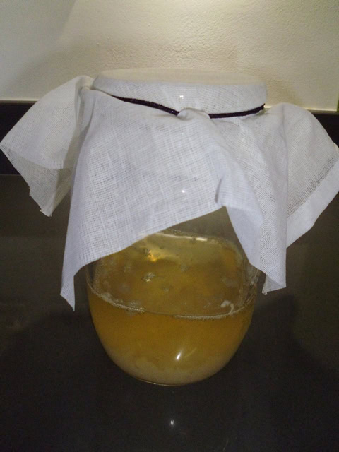 Water Kefir