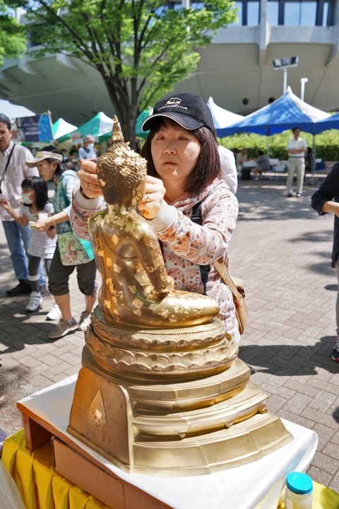 タイフェス