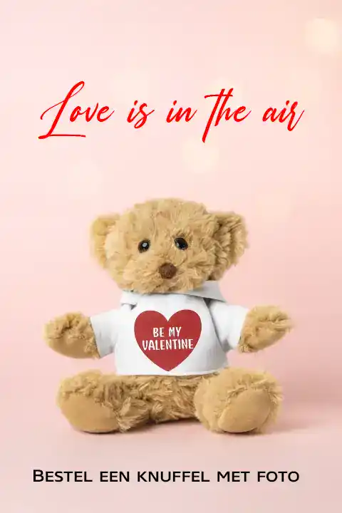 Knuffelbeer met Valentijnsbox.