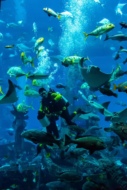 centros de buceo
