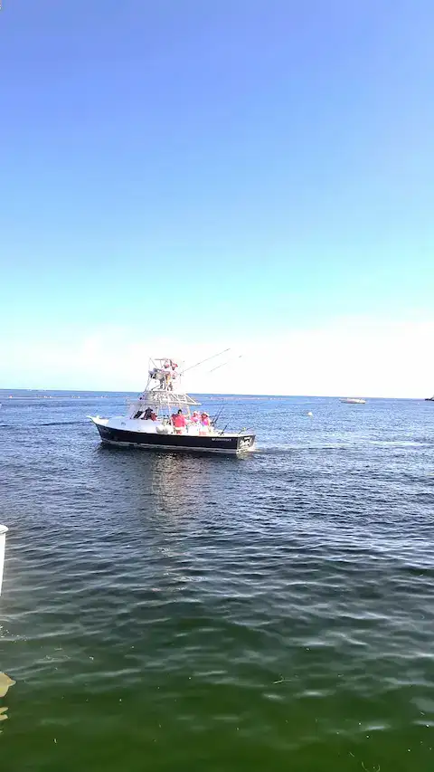 lancha de pesca deportiva