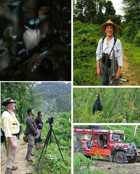 Birding at PICOP