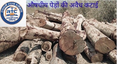 Illegal Tree Cutting Scam