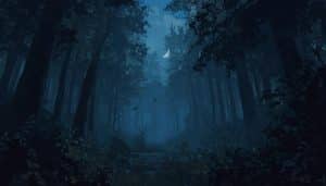 Which Bird Makes Noise at Night