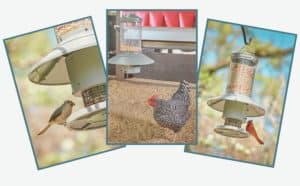 Pigeon Proof Bird Feeder
