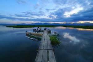 penerjemah tersumpah gorontalo
