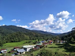 penerjemah tersumpah kalimantan utara