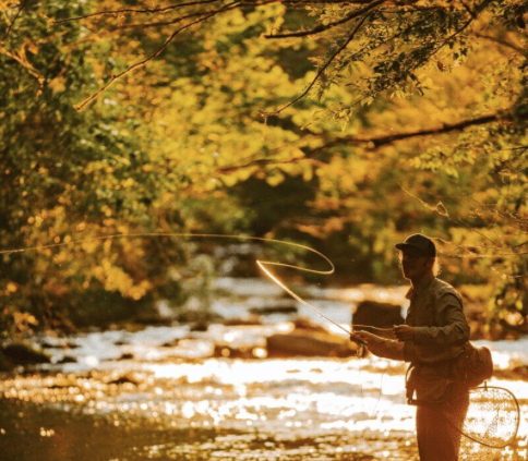 NC Boone fly fishing