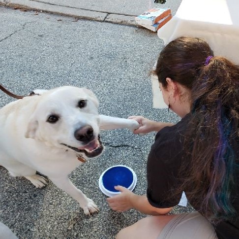Dog Training Philadelphia