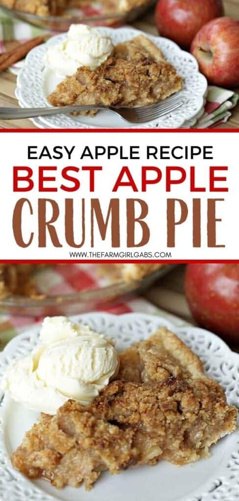 best apple crumb pie recipe