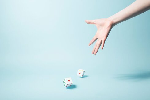 Project Risks