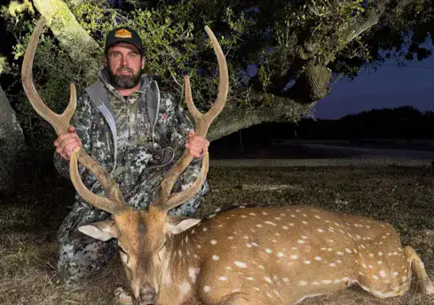 Axis Deer Hunts
