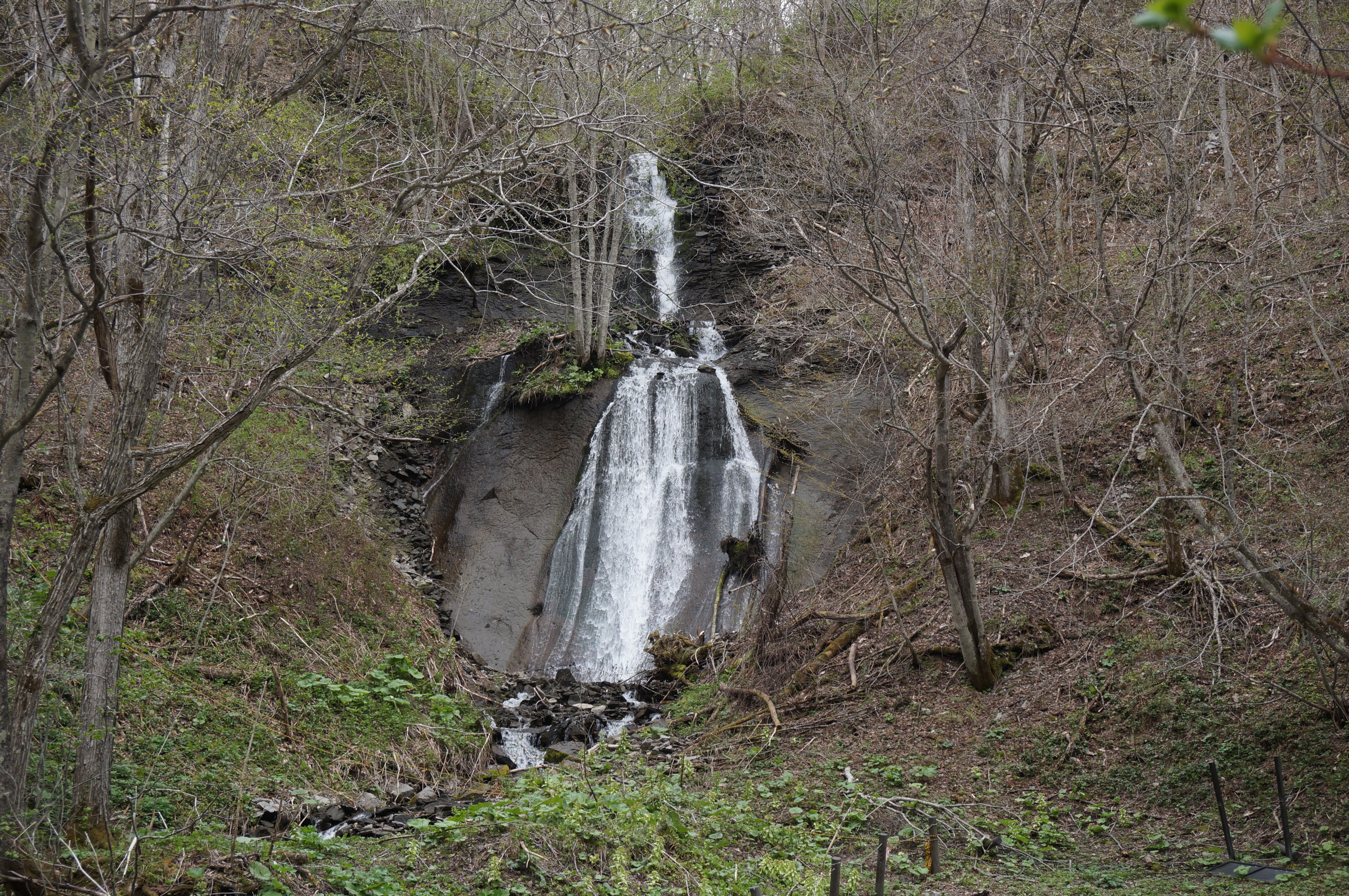 鱒見の滝の全景引き