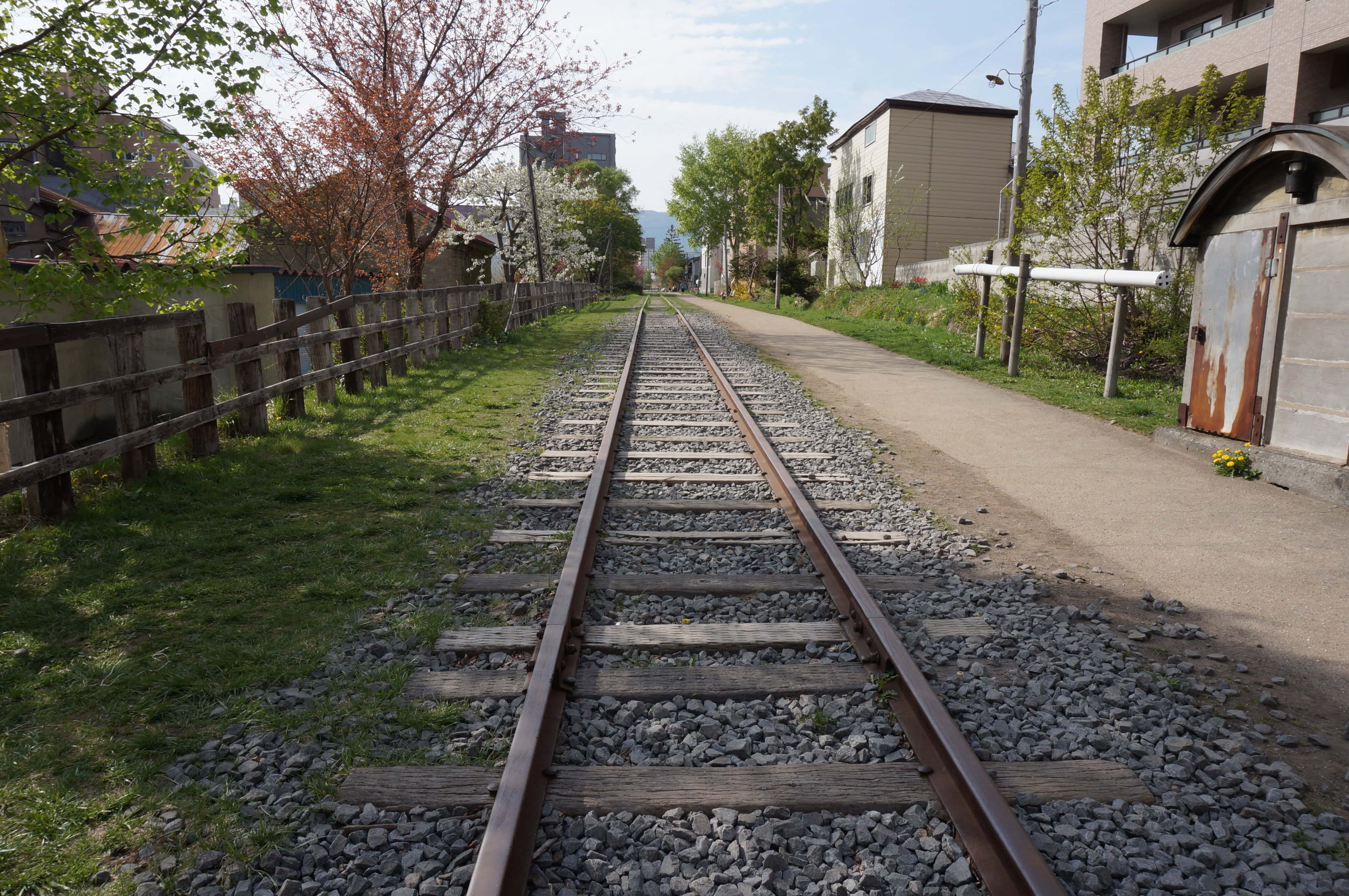 旧手宮線の春の線路遠景（桜と緑）