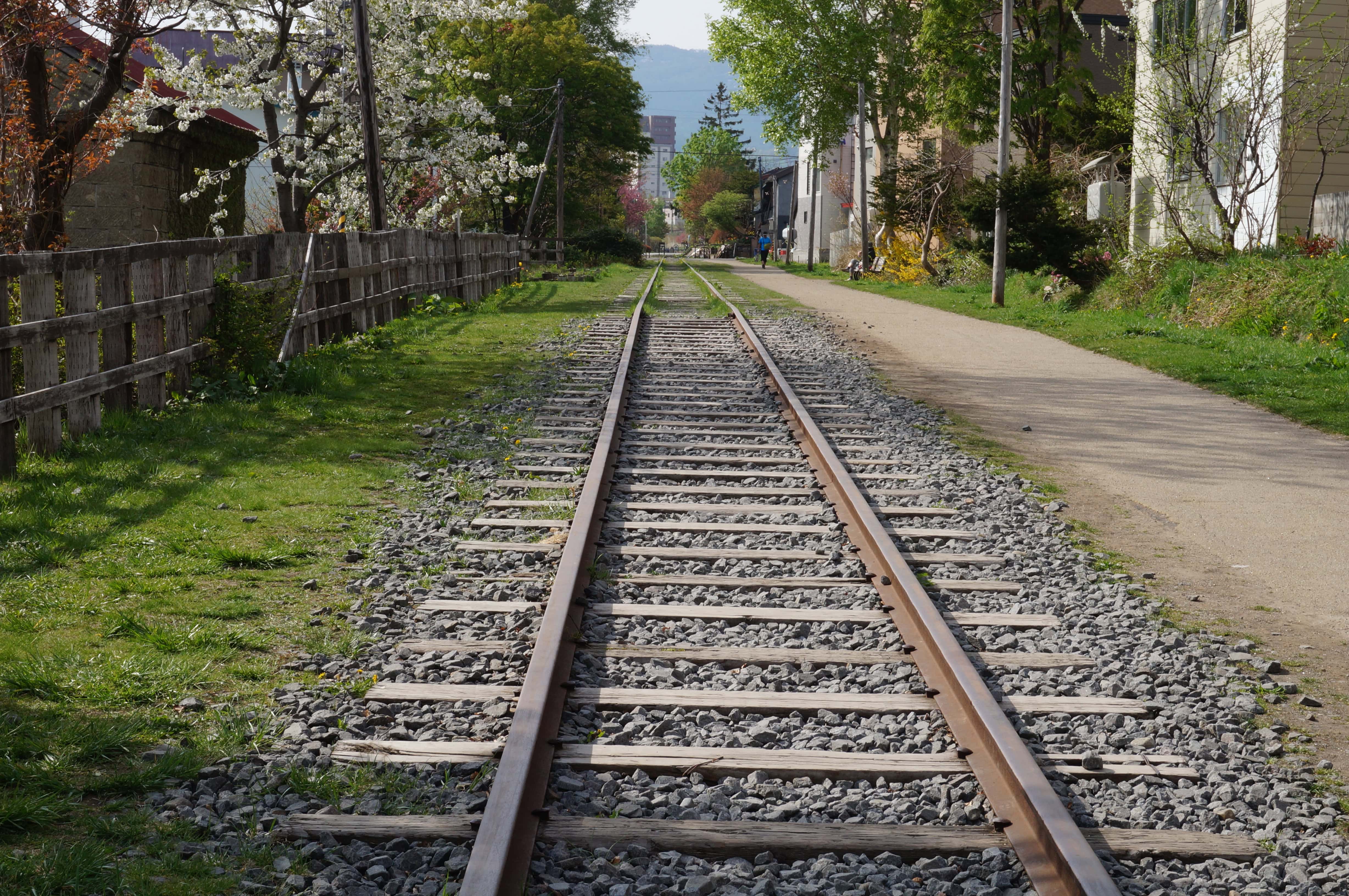 旧手宮線の春の線路遠景（縦構図・新緑）