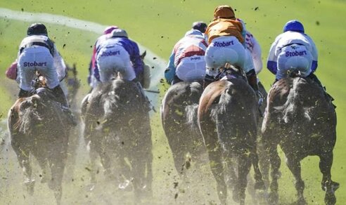 Singapore Horse Racing Free Bet If 2nd Offers