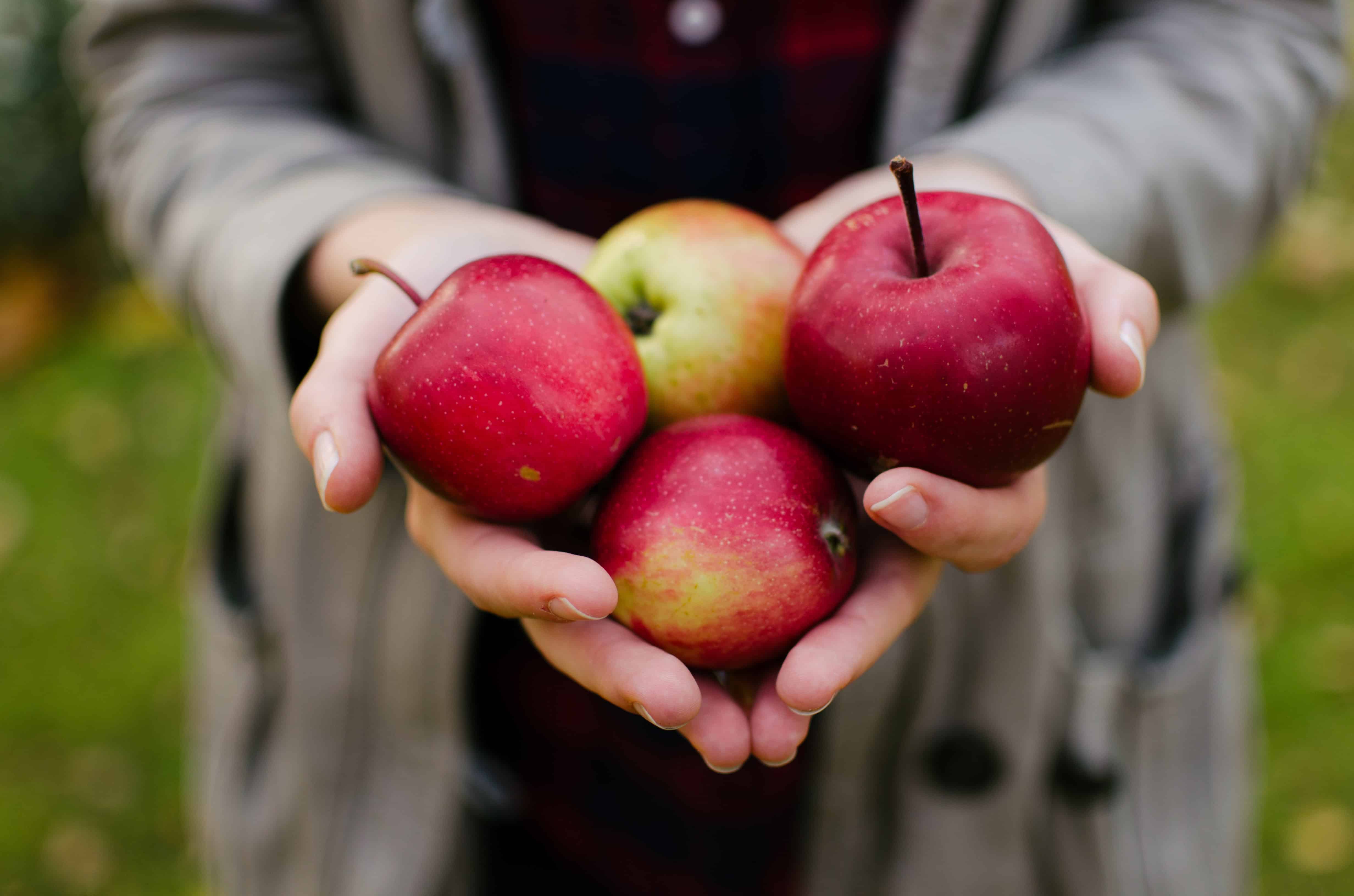 Someone holding apples, What to Eat if You Get Constipated