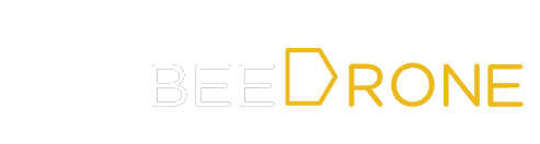 Beedrone canarias Logo