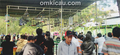 IKPBS Special Open Solo
