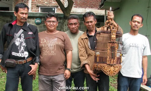 KRU ANIS MERAH RODA GILA (foto: dok. agrobur)