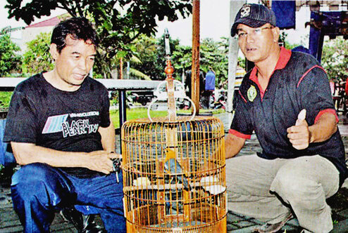 Kamto PJKA dan anis merah Terios