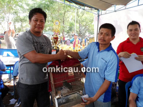 KMPS Cup 2013