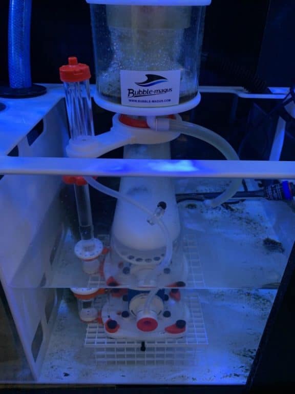 bubble magus protein skimmer curve 5