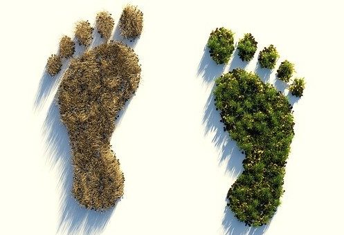 reduce carbon footprint