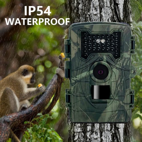 hunting camera with screen