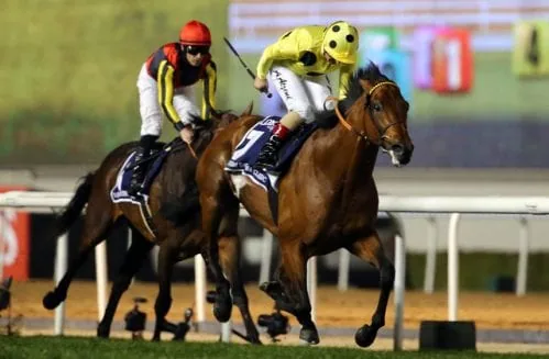 Postponed fancied at York on Wednesday