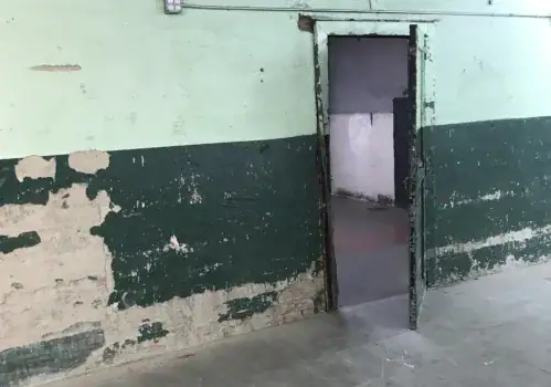 xrf lead based paint testing