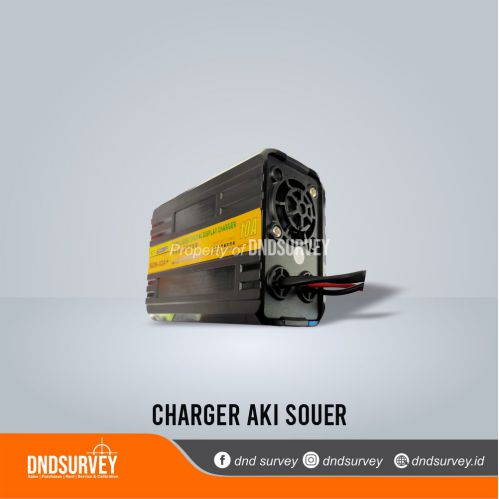 Charger Aki 10A Souer