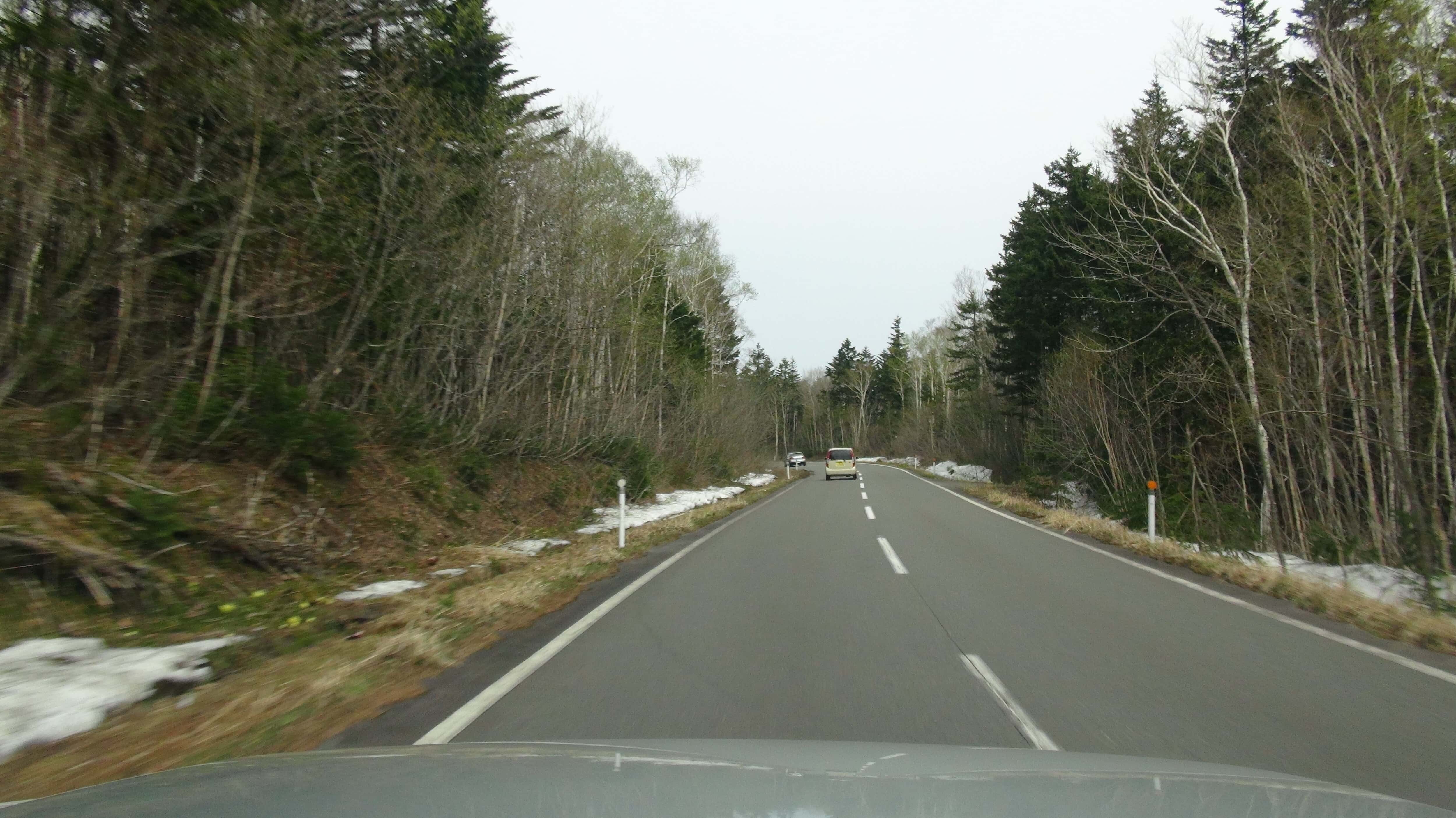 雪の残る支笏湖への山道