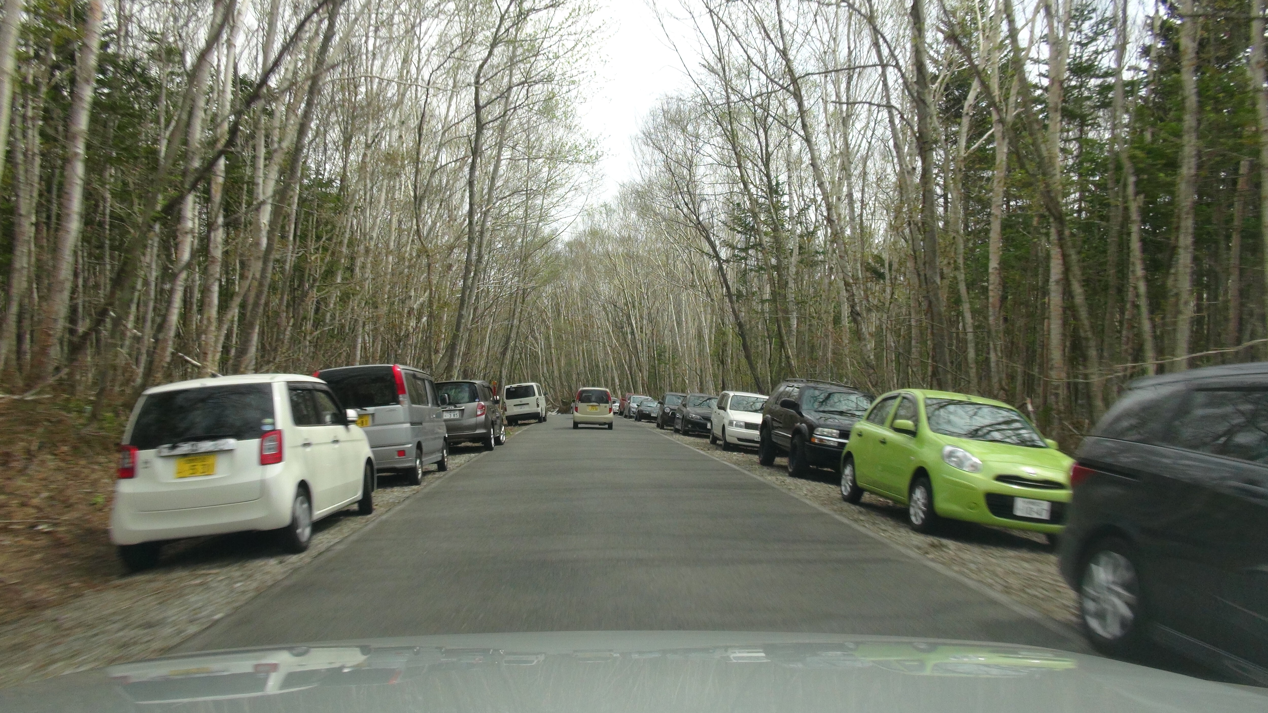 支笏湖駐車場待ちの車列