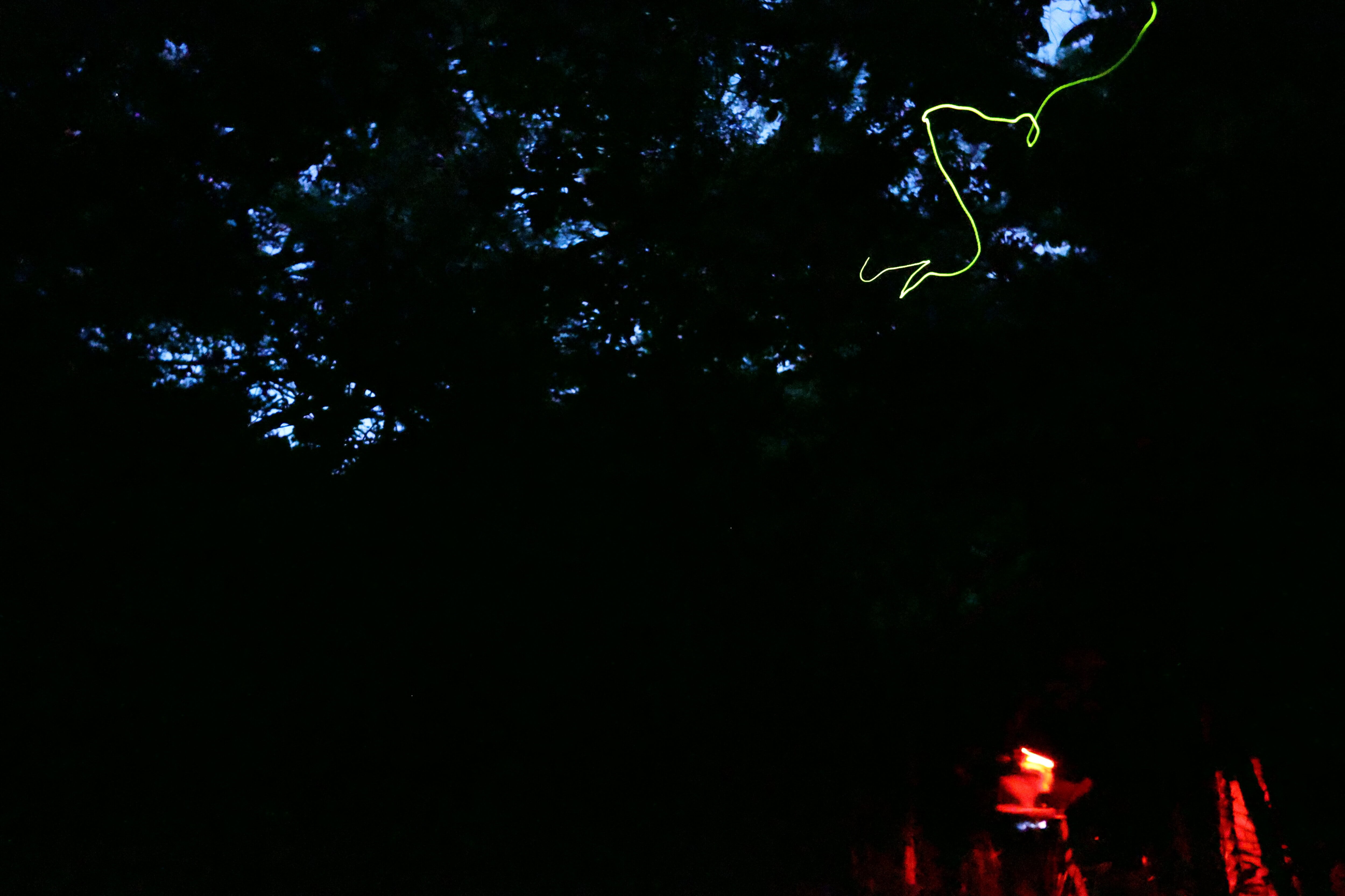 久米島のホタルの発行の軌跡２