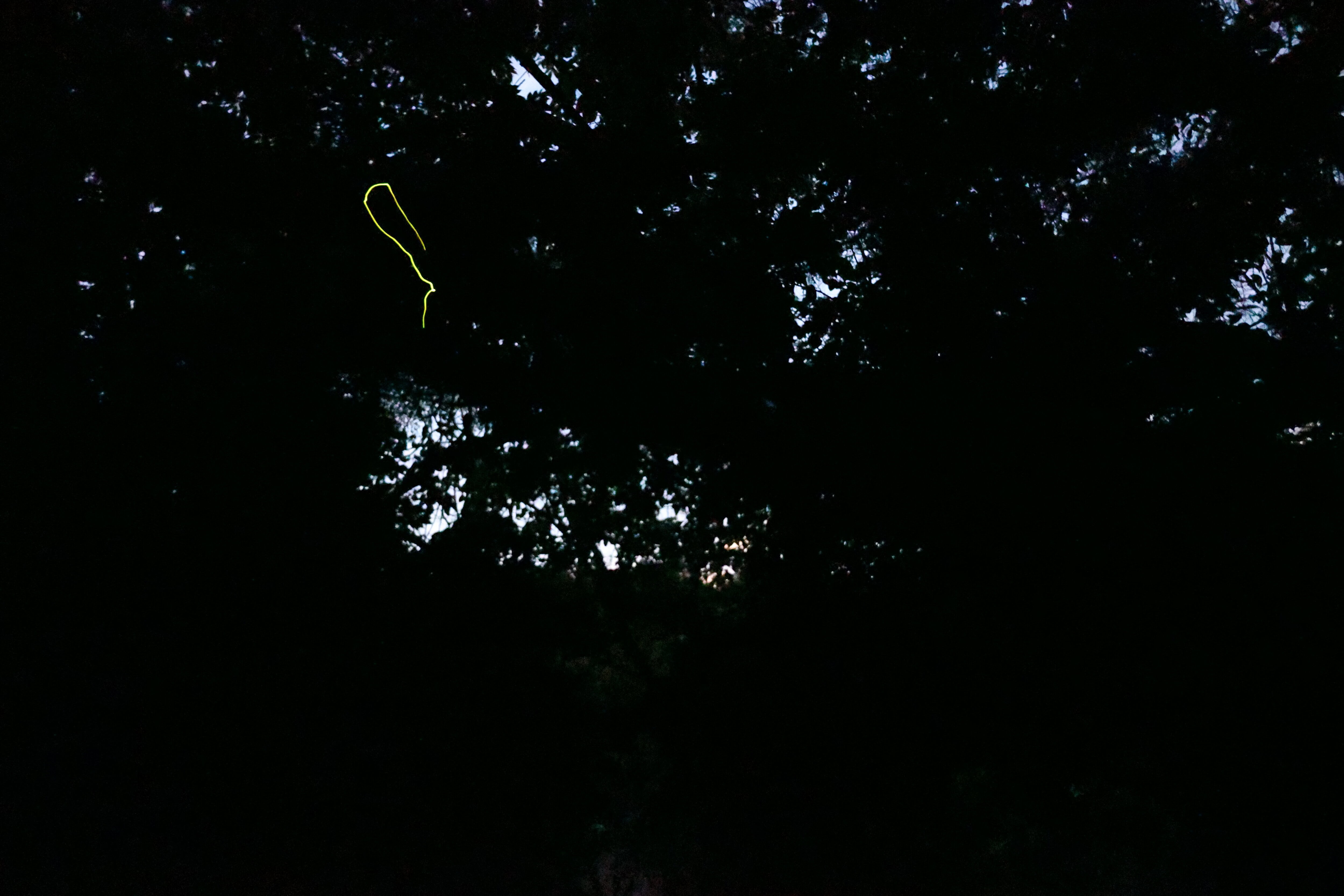 久米島のホタルの発行の軌跡３