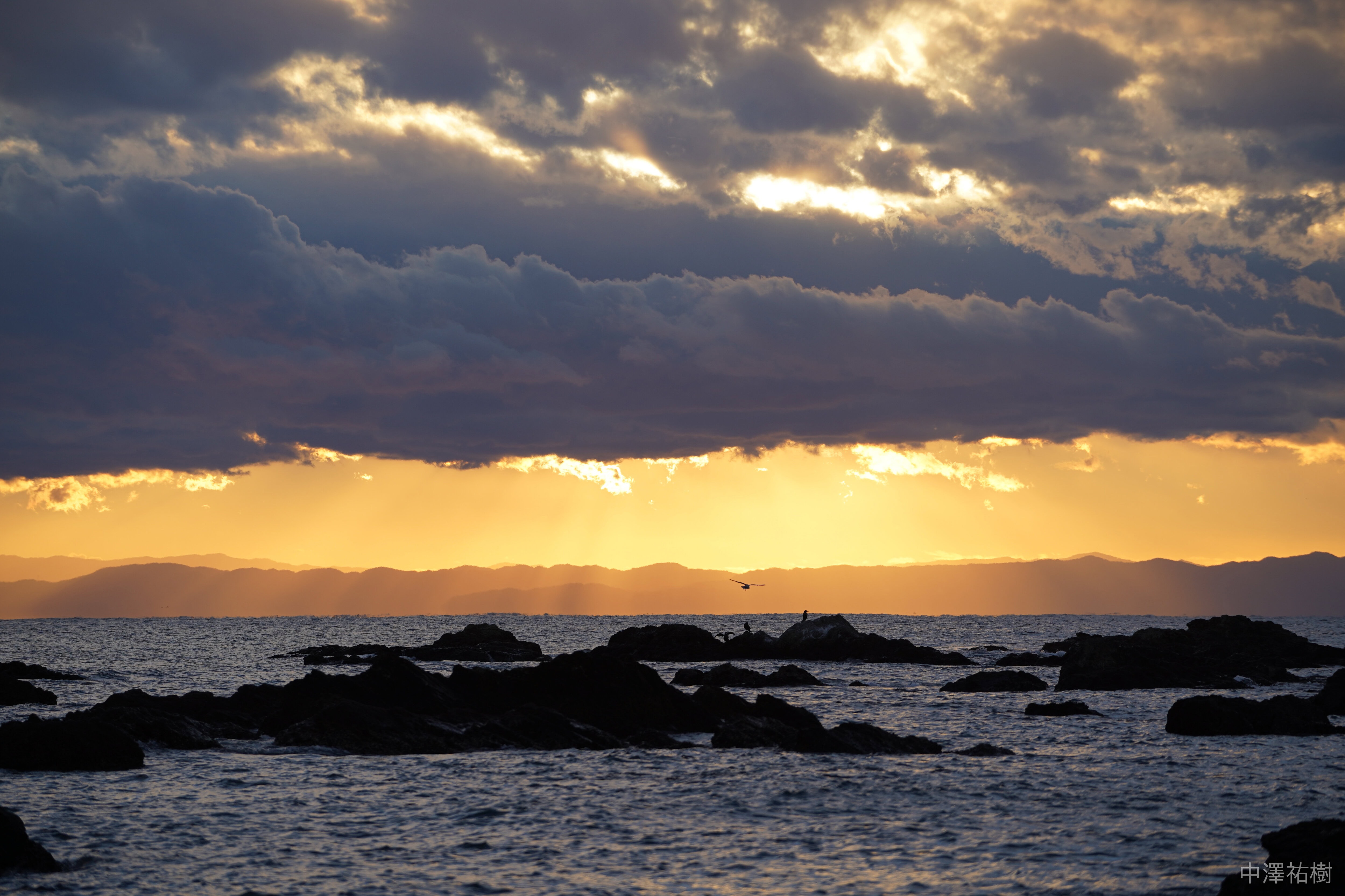 森戸海岸の夕日と鳥