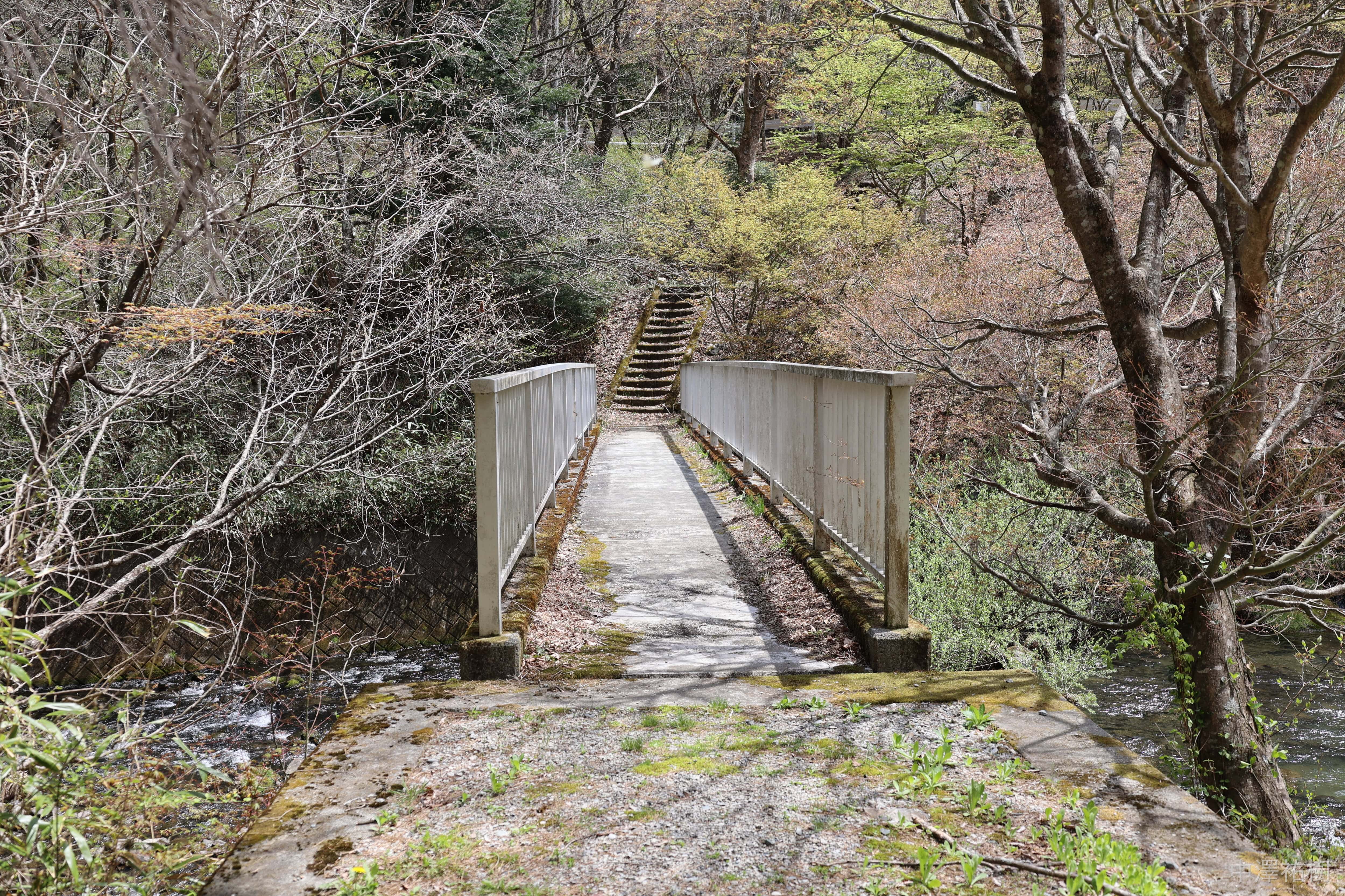 橋