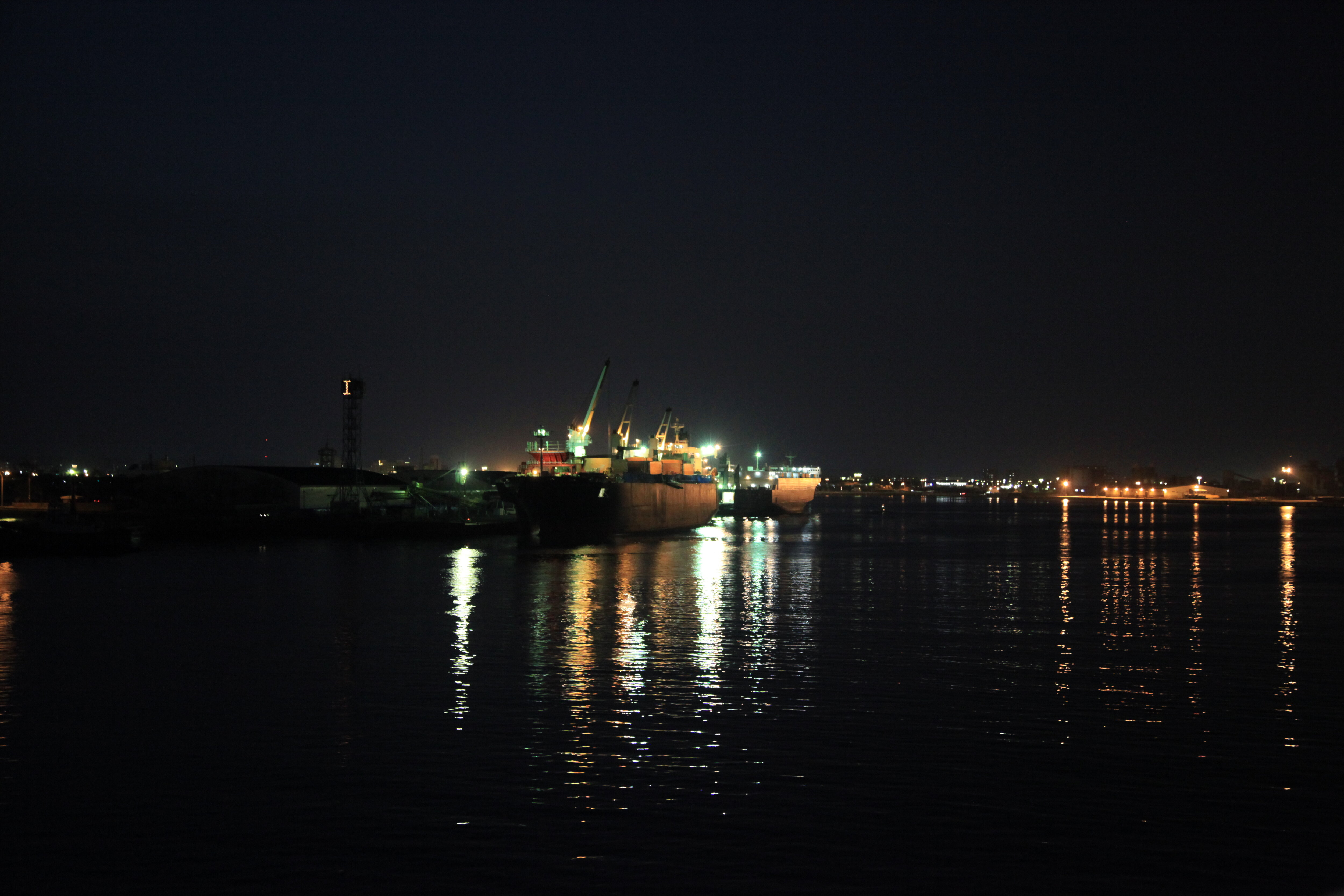 苫小牧港に停泊する貨物船