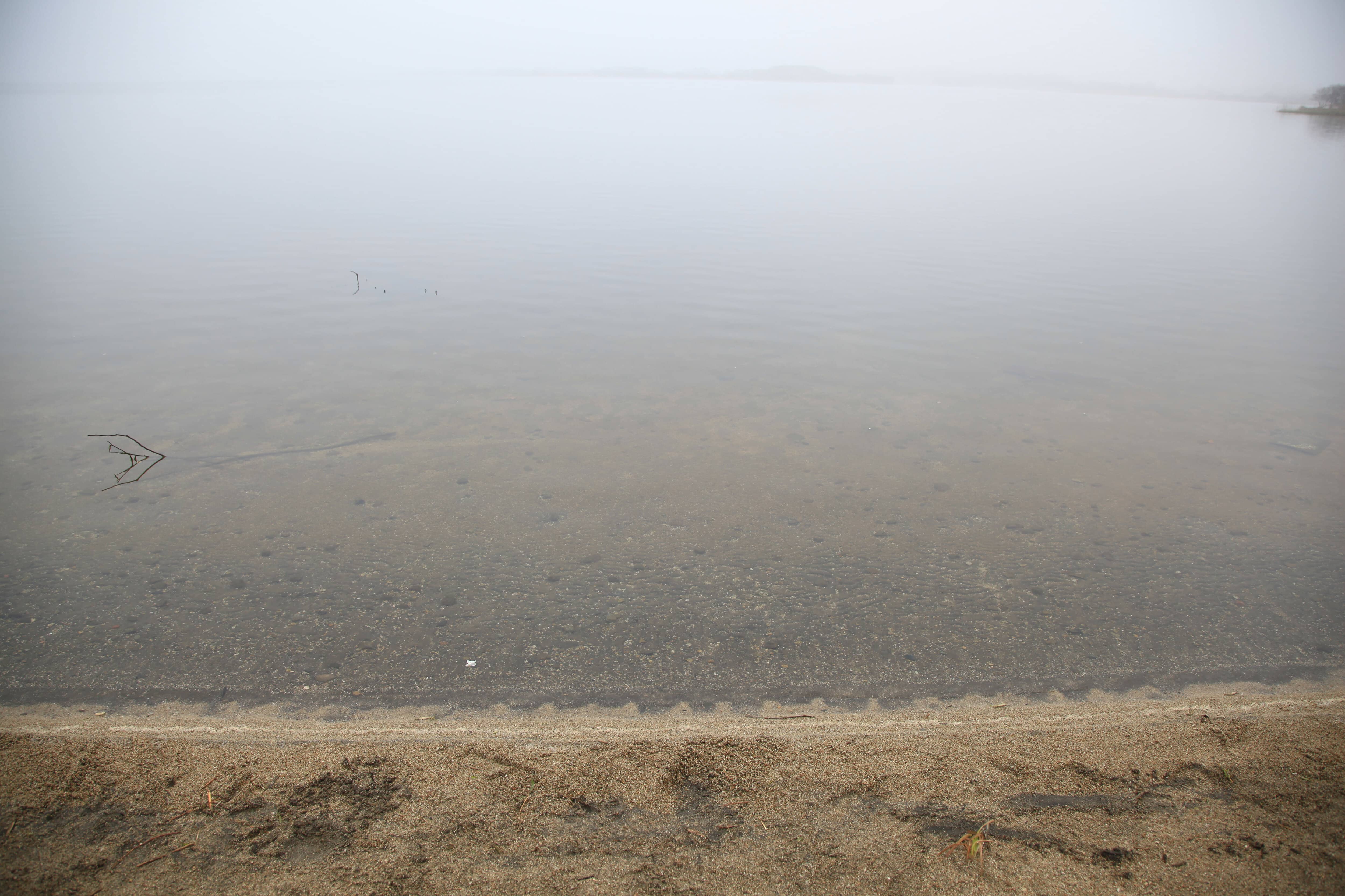 霧がかるウトナイ湖の水辺