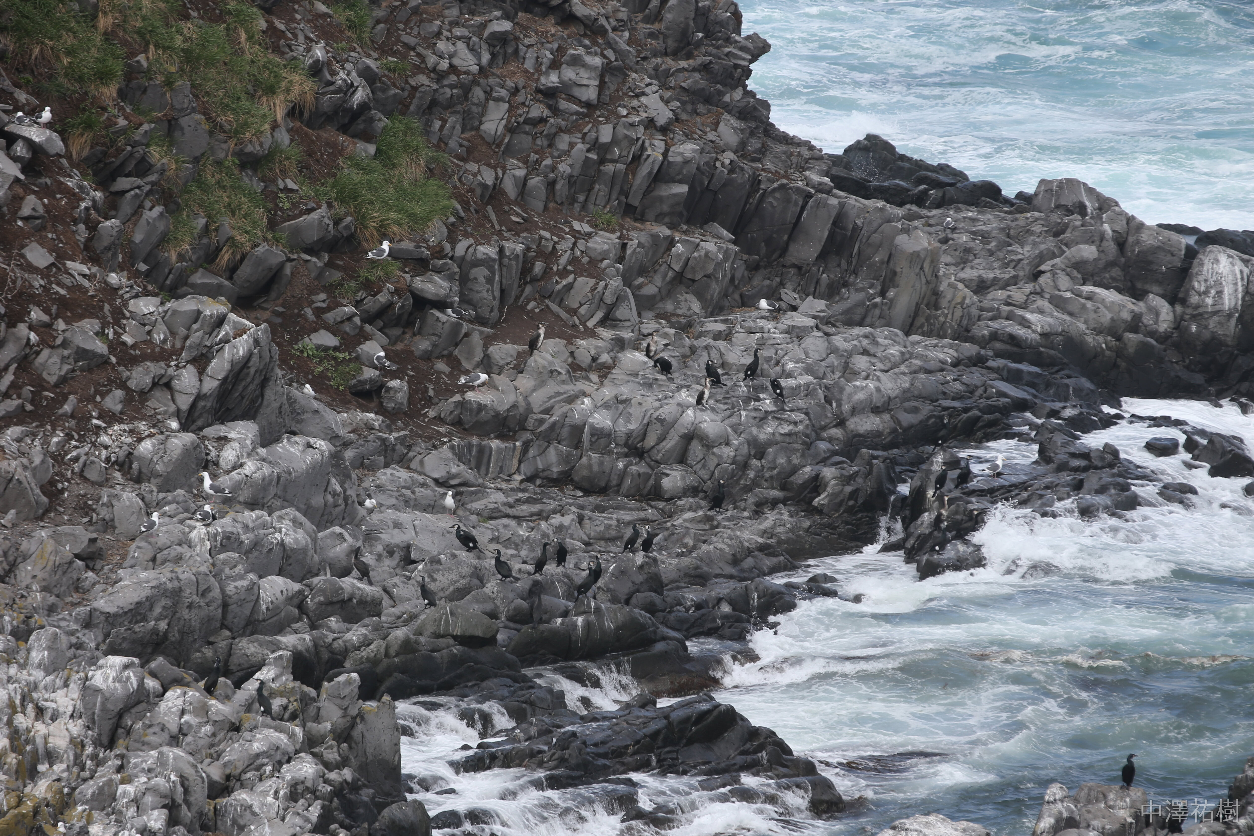 79.岩場と海の風景