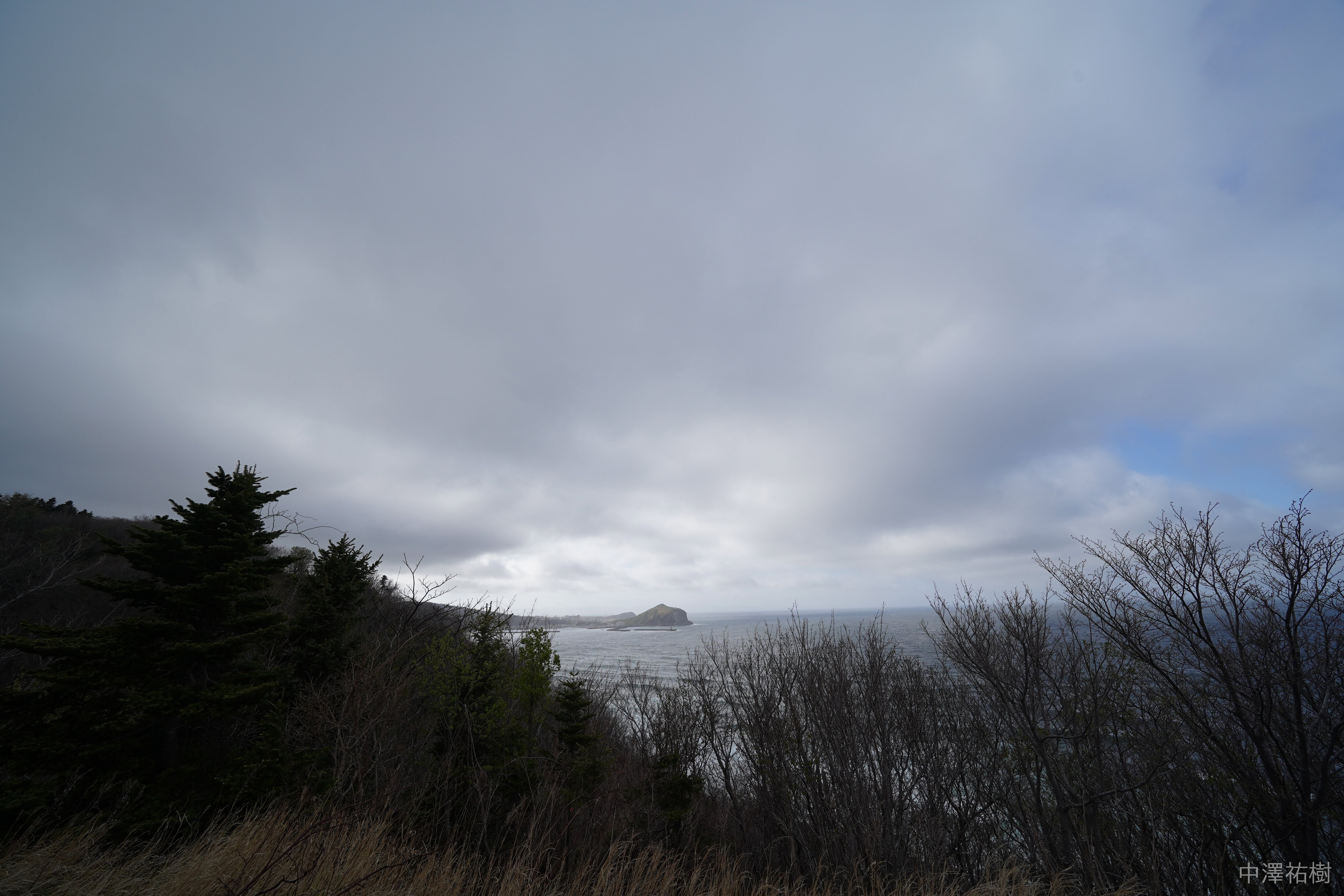 109.富士野園地の風景