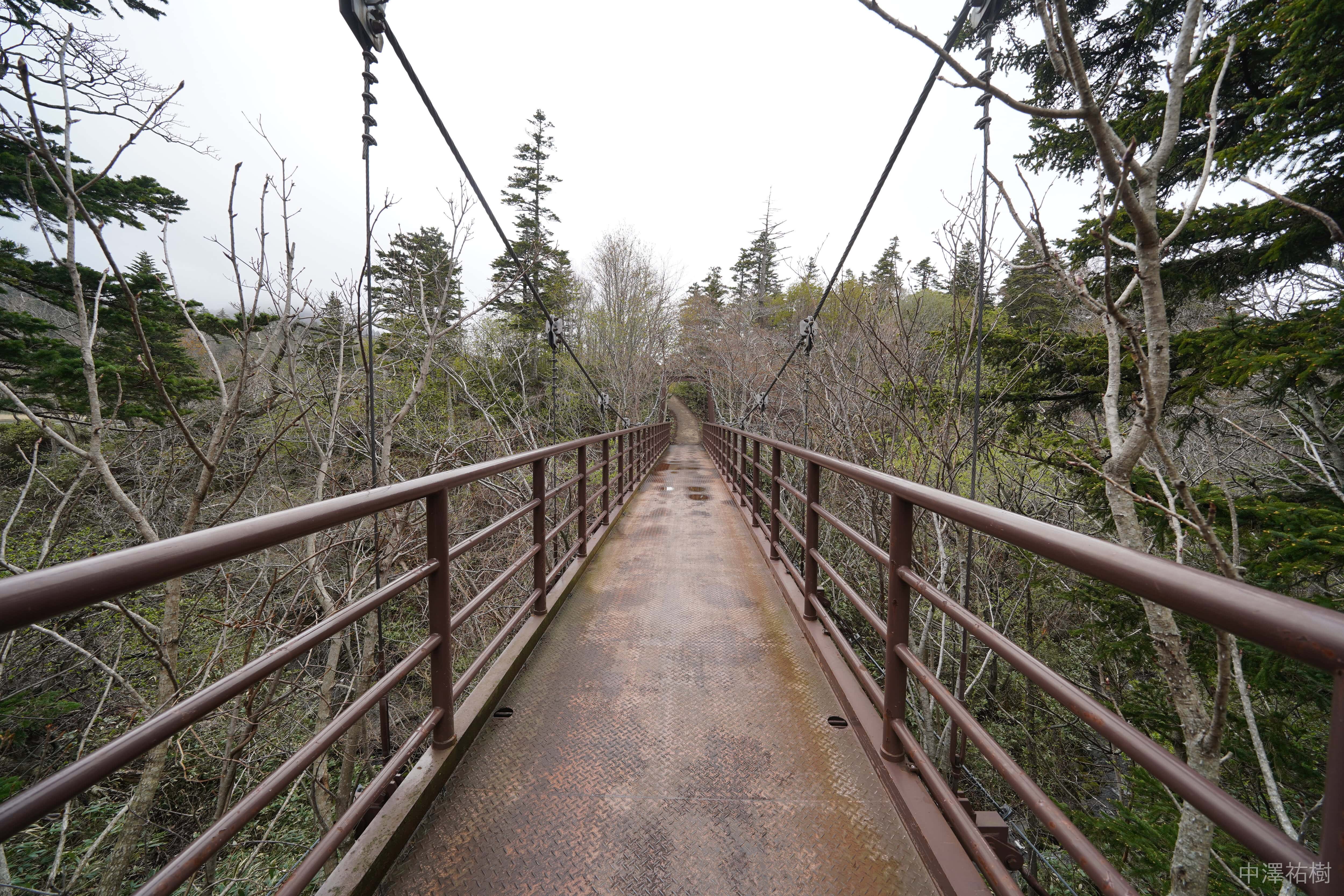 118.姫沼の吊り橋