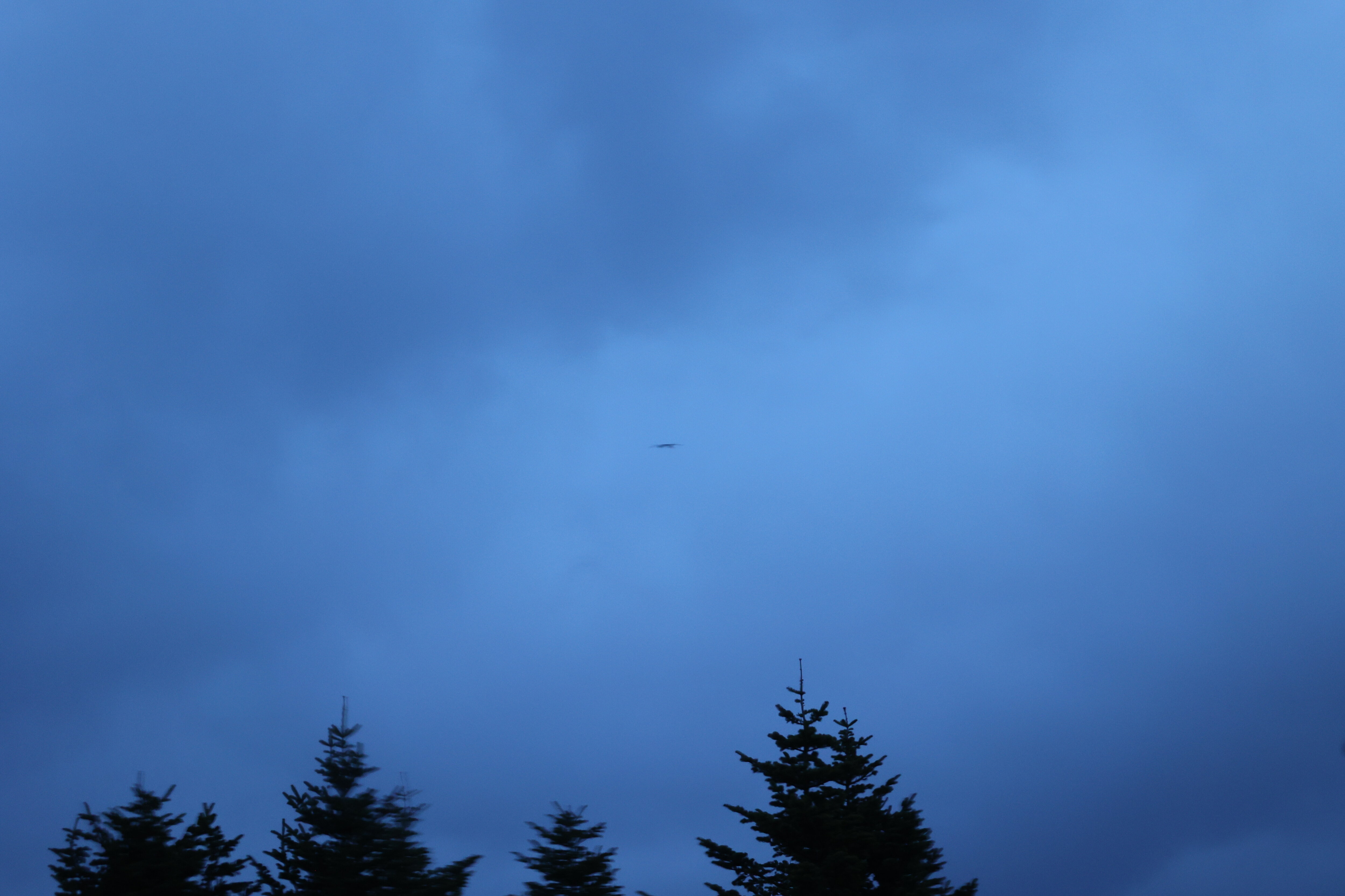 3.客室から見た空（夜明け前）