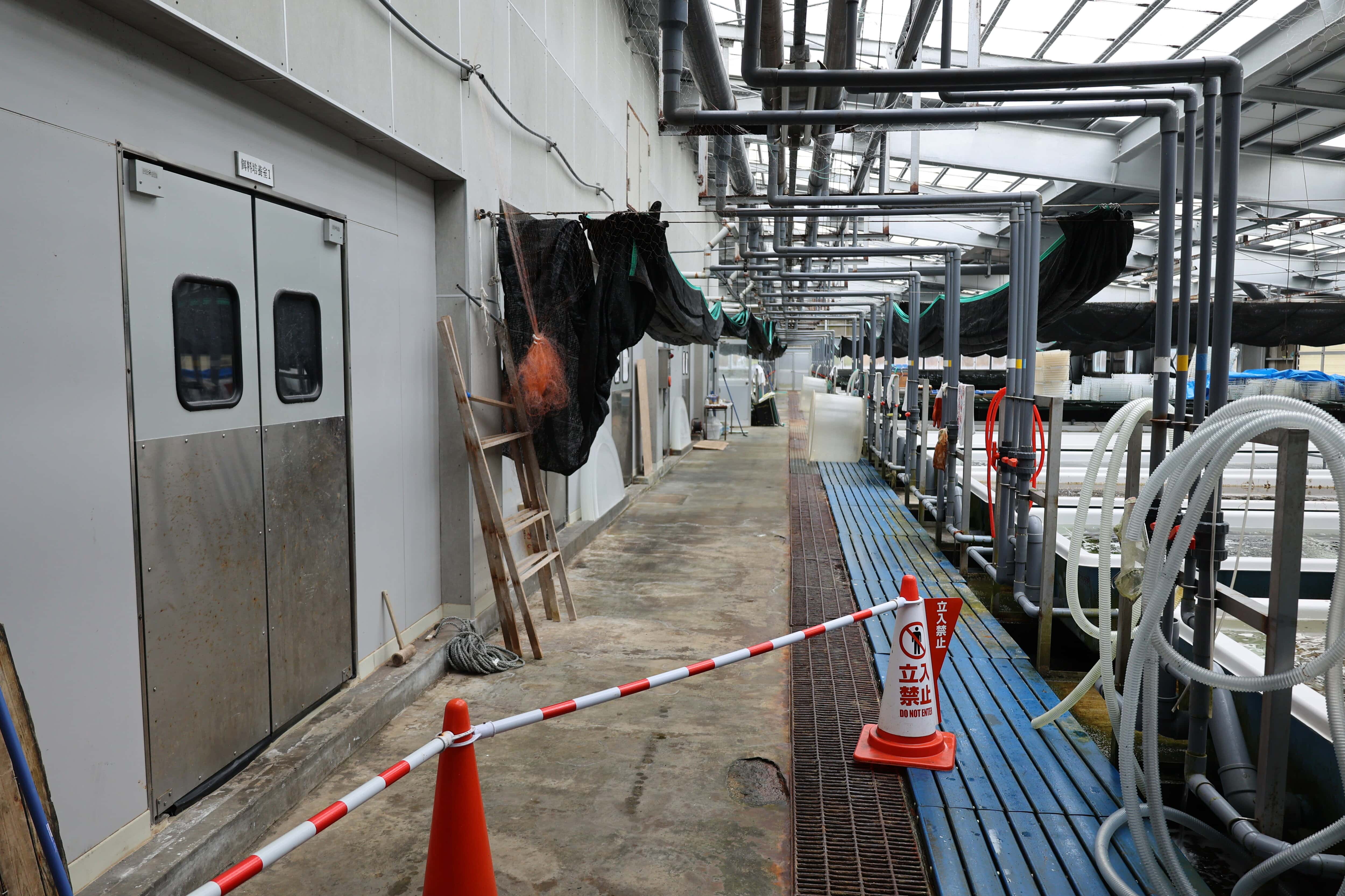 39.利尻町ウニ種苗生産施設・施設内部通路