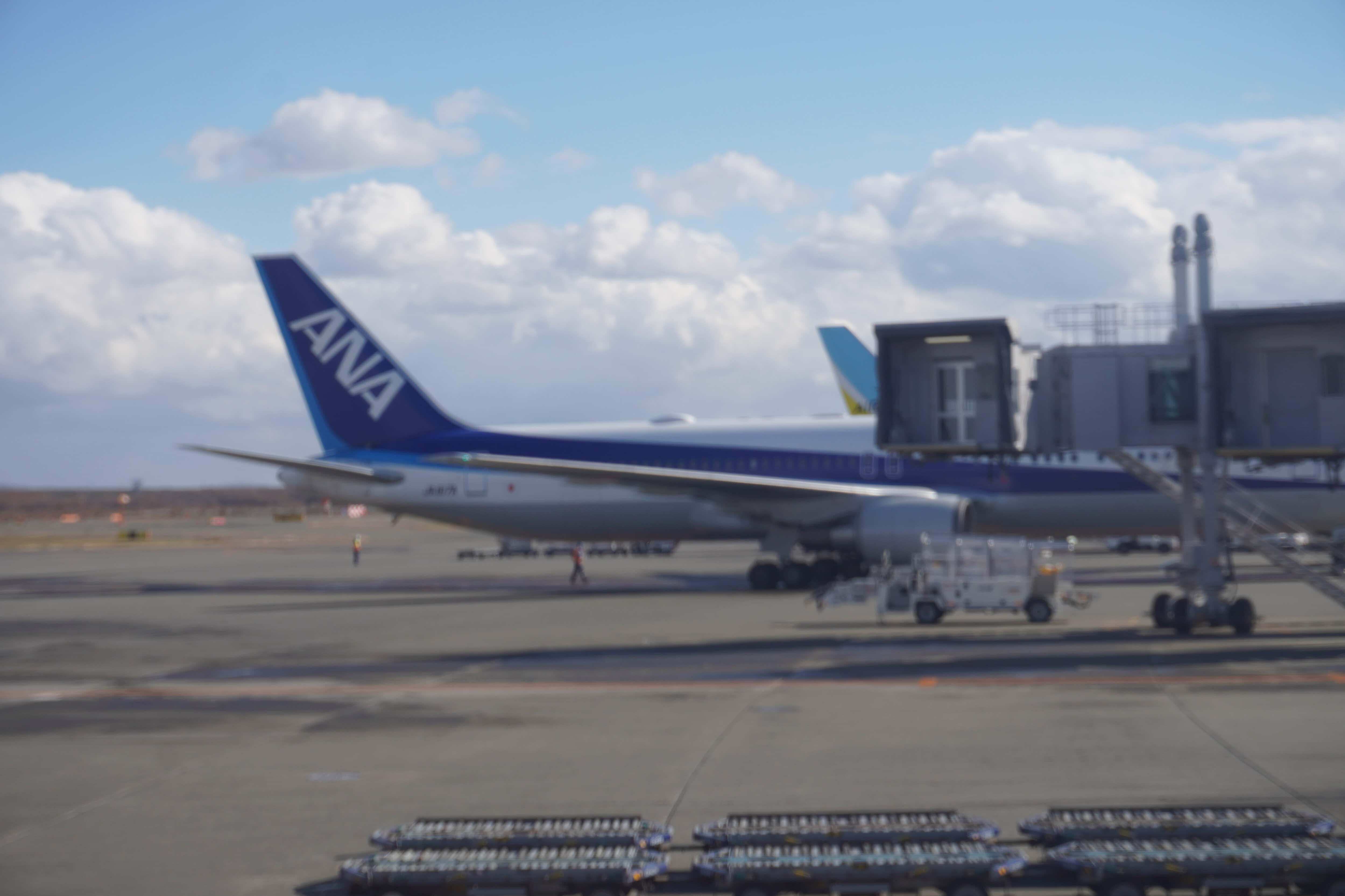 13.ターミナルのANA機