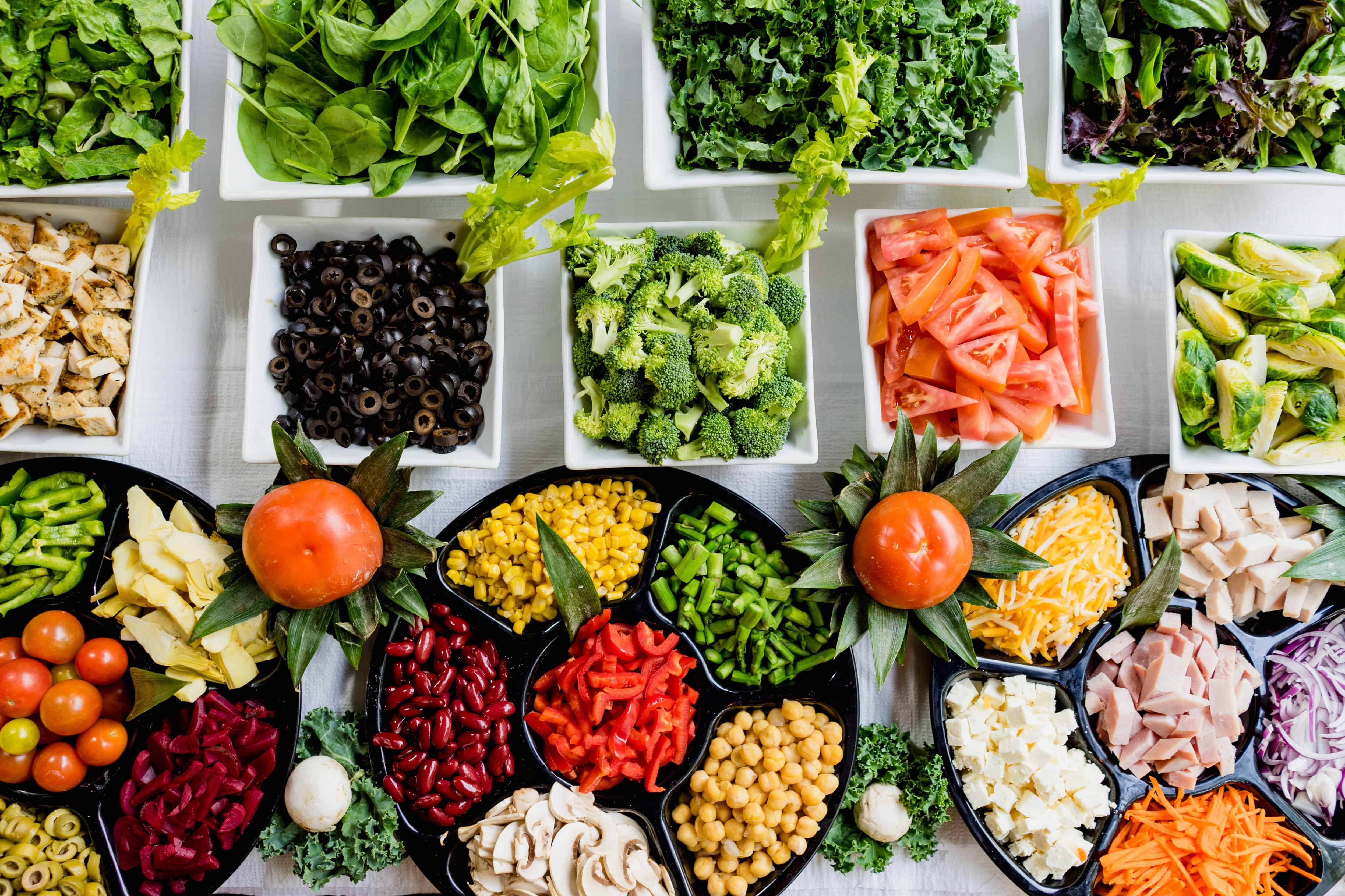 Trays for veg. Which Diet is Better For CFS Recovery