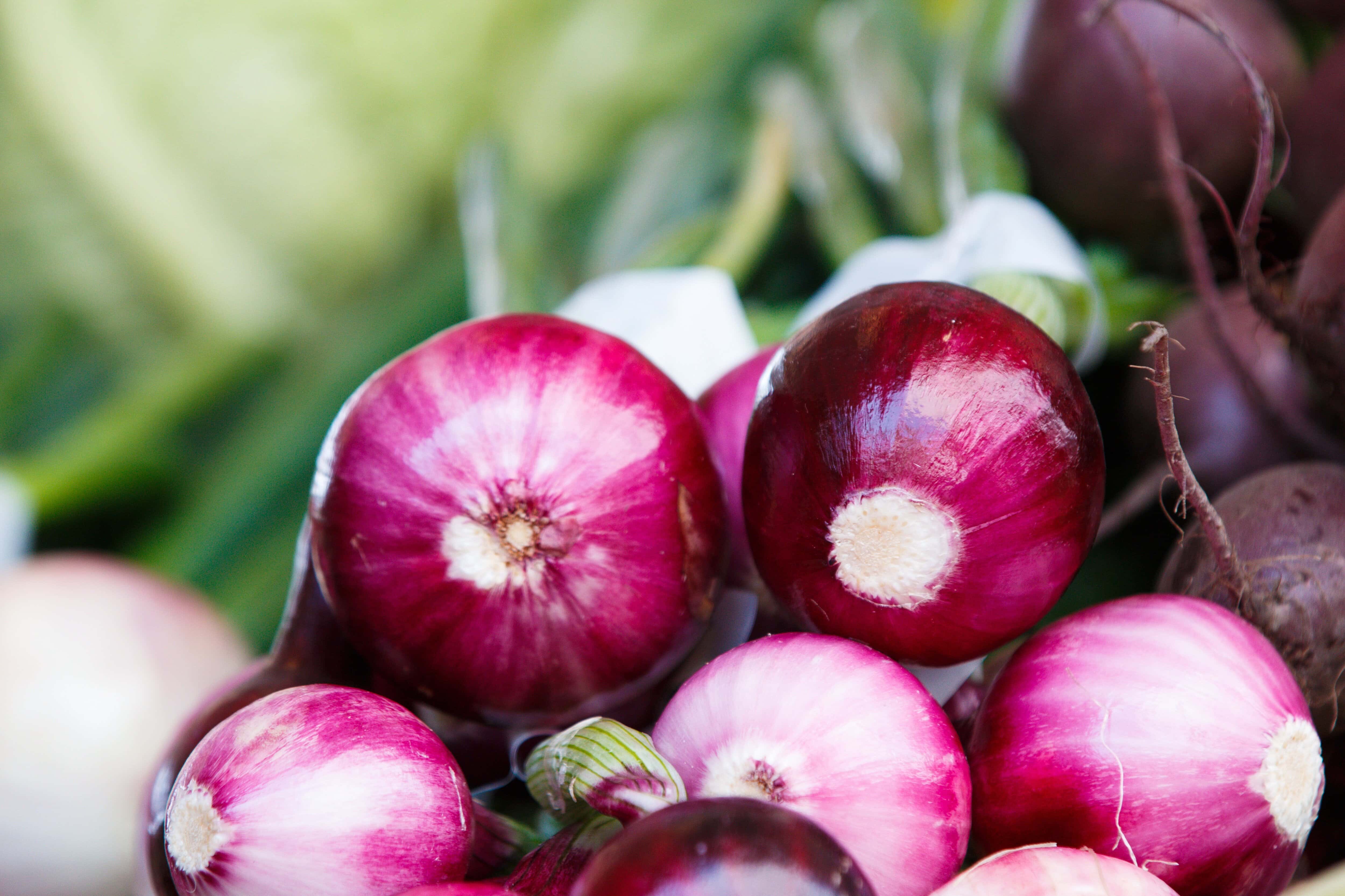 The Low FODMAP Diet