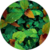 Karuna Sagar profile picture