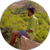 SESHA BARATHI profile picture